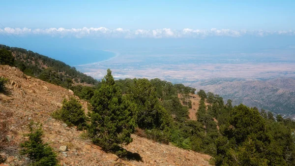 Горный Лесной Ландшафт Троодос Кипр Вид Вершины Олимбос — стоковое фото