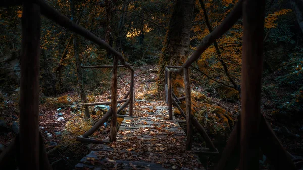 Sonbahar Avrupa ormanlarında derenin üzerindeki eski ahşap köprü. Yunanistan, Athos