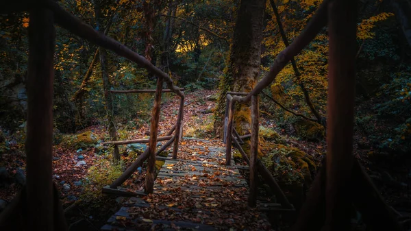 Sonbahar Avrupa Ormanlarında Derenin Üzerindeki Eski Ahşap Köprü Yunanistan Athos — Stok fotoğraf