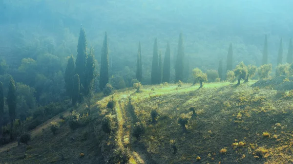 希腊Iviron修道院附近的Athos山上 希腊风景秀丽的全景 — 图库照片