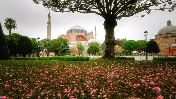 Isztambul Törökország Május 2018 Hagia Sophia Rainy Day Mellett Kék — Stock Fotó