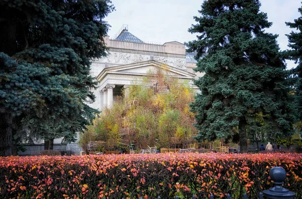 Moscú Rusia Noviembre 2017 Museo Pushkin Bellas Artes Moscú — Foto de Stock