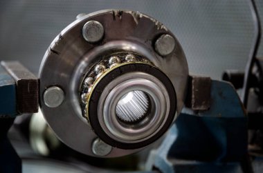 Kırık gövde, görünür yataklar ve yağlarla..