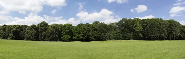 Nézd Nagyon Magas Meghatározás Treeline Színes Kék — Stock Fotó