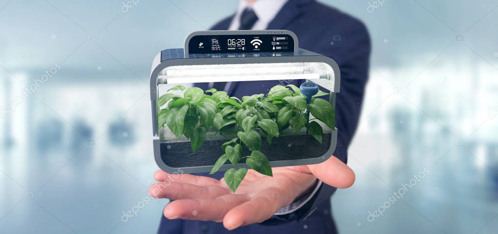 View of a Businesmann holding a Digital vegetal plant connected 