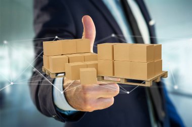 Carboxes ağ bağlantı sistemi - 3d render ile palet görünümünü