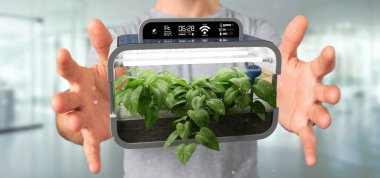 Bağlı bir dijital bitkisel bitki tutan bir Businesmann görünümünü 