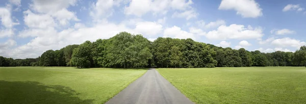 Widok Bardzo Wysokiej Rozdzielczości Treeline Kolorowe Błękitnego Nieba — Zdjęcie stockowe