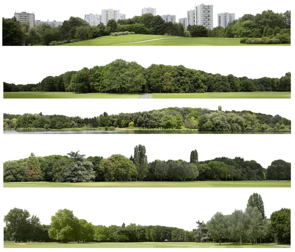 Vue Arbre Très Haute Définition Isolé Sur Fond Blanc — Photo