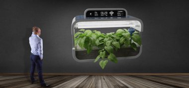 Bağlı bir dijital bitkisel bitki önünde bir Businesmann görünümünü 