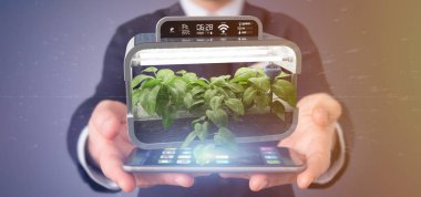 Bağlı bir dijital bitkisel bitki tutan bir Businesmann görünümünü 