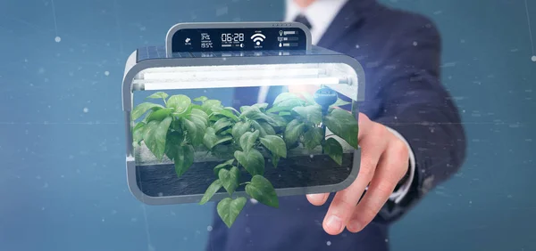 Vue Homme Affaires Tenant Une Plante Végétale Numérique Connectée — Photo