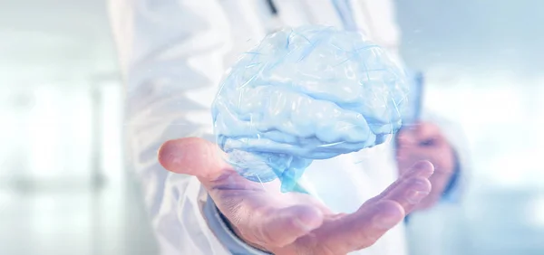 Вид Доктора Держащего Рендеринг Искусственного Мозга — стоковое фото