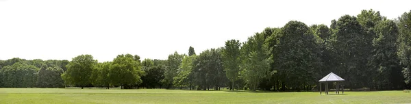 Bardzo Wysokiej Rozdzielczości Treeline Białym Tle Białym Tle — Zdjęcie stockowe