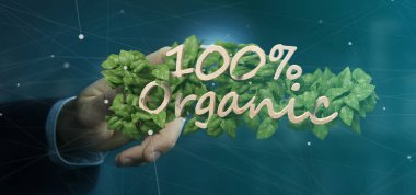 Ahşap bir logo % 100 organik 3d render etrafında yapraklarla tutan bir işadamı görünümünü
