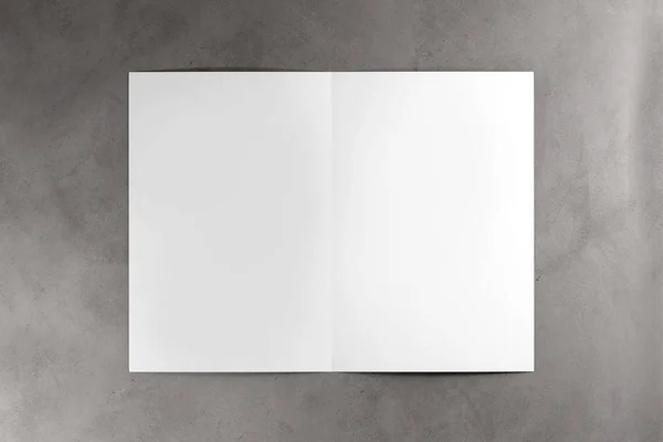 Makiety broszury na betonowe podłoże - 3d renderowania — Zdjęcie stockowe