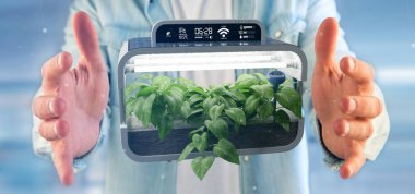 Dijital bitkisel bitki bağlı tutan Businesmann 