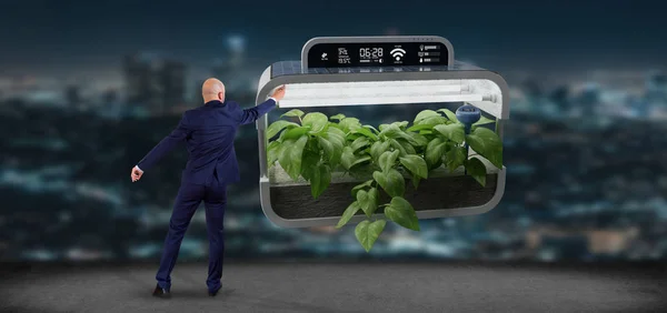 Businesmann em frente a uma planta vegetal Digital conectada — Fotografia de Stock