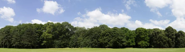 Renkli mavi gökyüzü ile çok yüksek çözünürlüklü Treeline — Stok fotoğraf