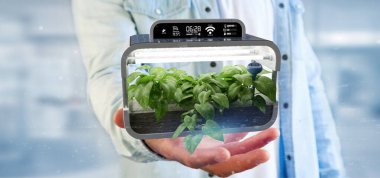 Dijital bitkisel bitki bağlı tutan Businesmann 