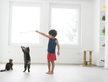 Küçük çocuk onun kedi evde zevk ile oynamak