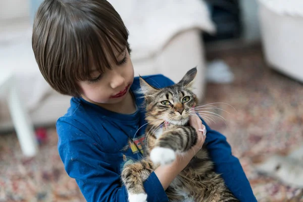 Malý chlapec hraje s jeho kočka užívat doma — Stock fotografie