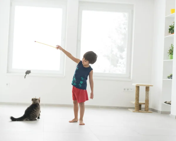 Маленький мальчик играет со своим котом наслаждаясь дома — стоковое фото