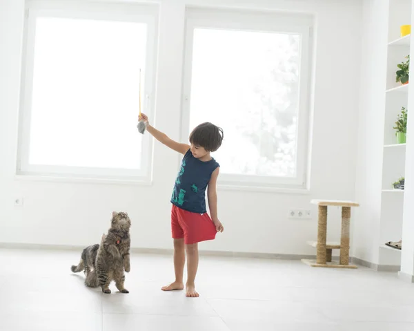Kleiner Junge spielt mit seiner Katze und genießt zu Hause — Stockfoto