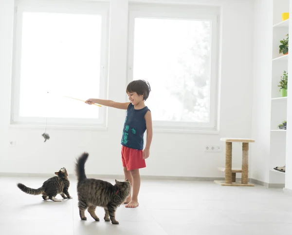 Menino brincando com seu gato desfrutando em casa — Fotografia de Stock