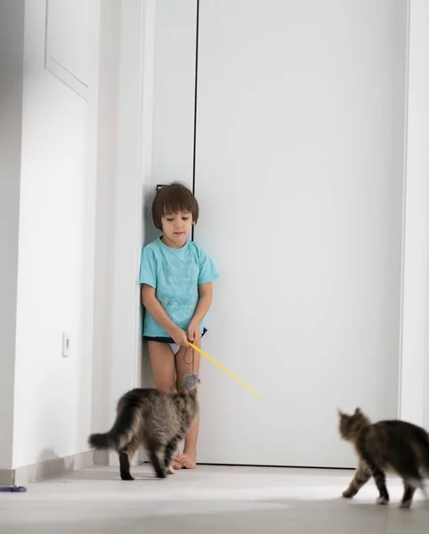Маленький хлопчик грає зі своєю кішкою, насолоджуючись вдома — стокове фото