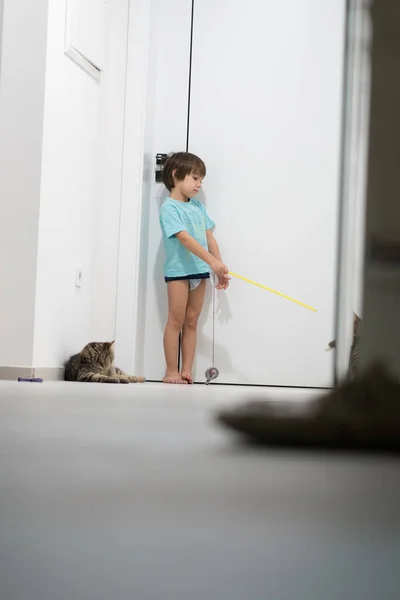 Liten pojke leker med hans katt njuta hemma — Stockfoto