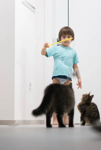 Pequeño niño jugando con su gato disfrutando en casa — Foto de Stock