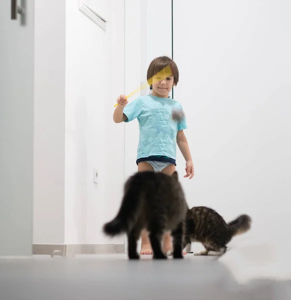 Μικρό αγόρι παίζει με τη γάτα απολαμβάνει στο σπίτι — Φωτογραφία Αρχείου