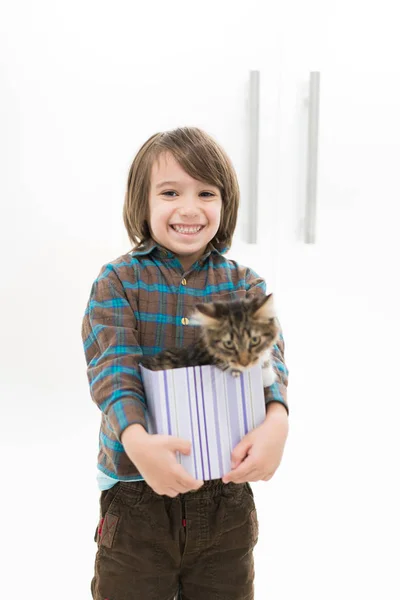 Malý chlapec hraje s jeho kočka v malé krabičky — Stock fotografie