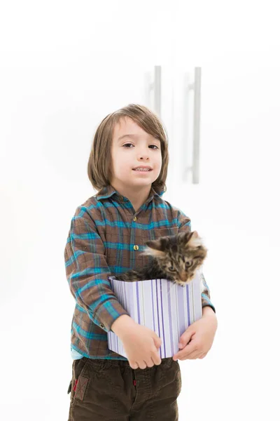 Μικρό αγόρι παίζει με τη γάτα του σε μικρό κουτί δώρου — Φωτογραφία Αρχείου