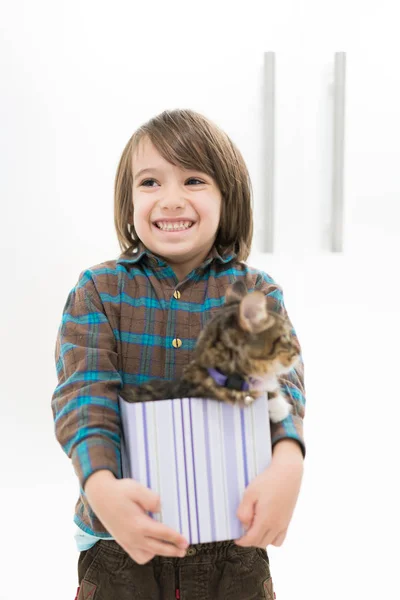 Kleine jongen spelen met zijn kat in kleine geschenkverpakking — Stockfoto