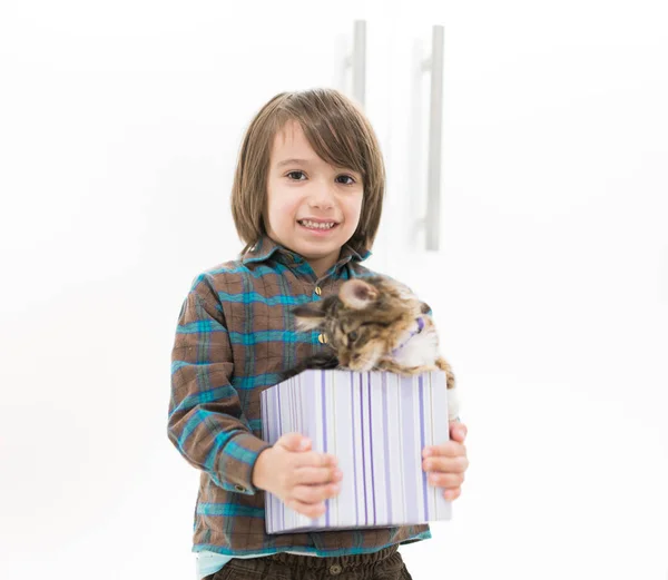 Мальчик играет со своим котом в подарочной коробочке — стоковое фото