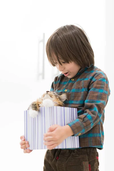 Kis fiú játék-val a macska, a kis ajándék doboz — Stock Fotó