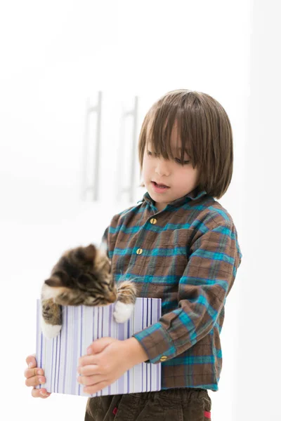 Menino brincando com seu gato em pequena caixa de presente — Fotografia de Stock