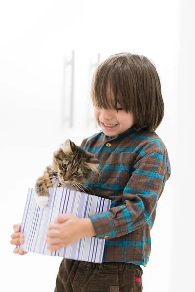 小さなギフト ボックスで彼の猫と遊ぶ少年 — ストック写真