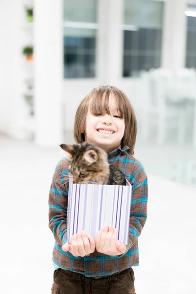 Kis fiú játék-val a macska, a kis ajándék doboz — Stock Fotó