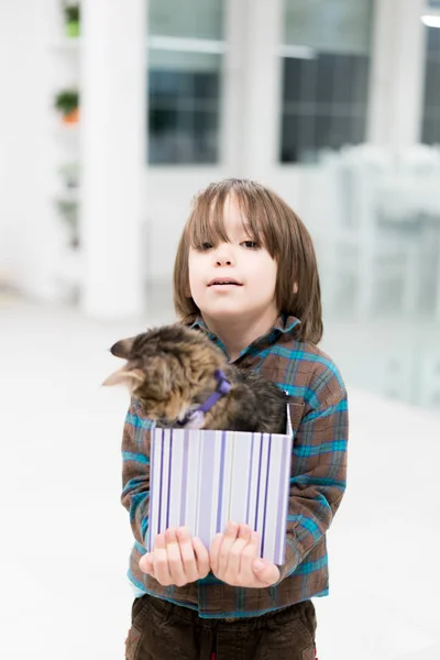 小さなギフト ボックスで彼の猫と遊ぶ少年 — ストック写真