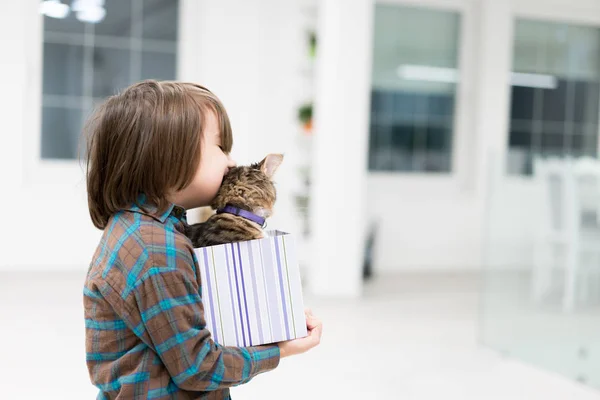 Kleiner Junge spielt mit seiner Katze in kleiner Geschenkbox — Stockfoto