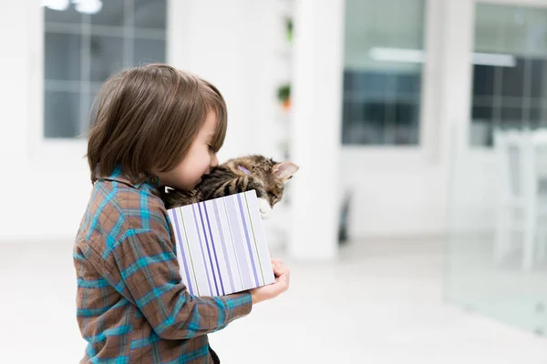 Piccolo ragazzo che gioca con il suo gatto in una piccola scatola regalo — Foto Stock