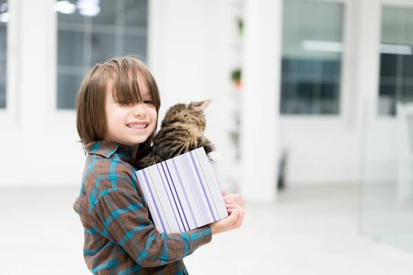 Piccolo ragazzo che gioca con il suo gatto in una piccola scatola regalo — Foto Stock