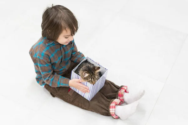 Liten pojke leker med hans katt i liten presentask — Stockfoto