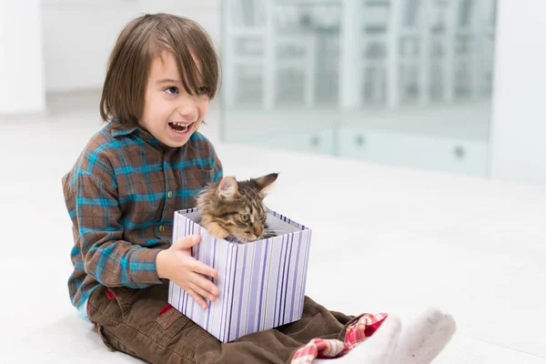 小さなギフト ボックスで彼の猫と遊ぶ少年 — ストック写真