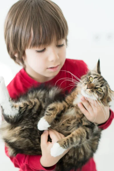 Kleiner Junge spielt mit seiner Katze und genießt zu Hause — Stockfoto