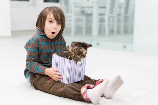 Μικρό αγόρι παίζει με τη γάτα του σε μικρό κουτί δώρου — Φωτογραφία Αρχείου