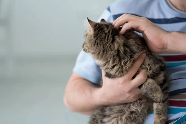 Adult man with cat at home — Stock Photo, Image